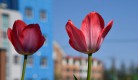 제목 없음-10.jpg
