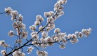 제목 없음-9.jpg
