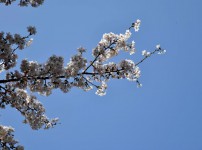 _DSC0893.jpg